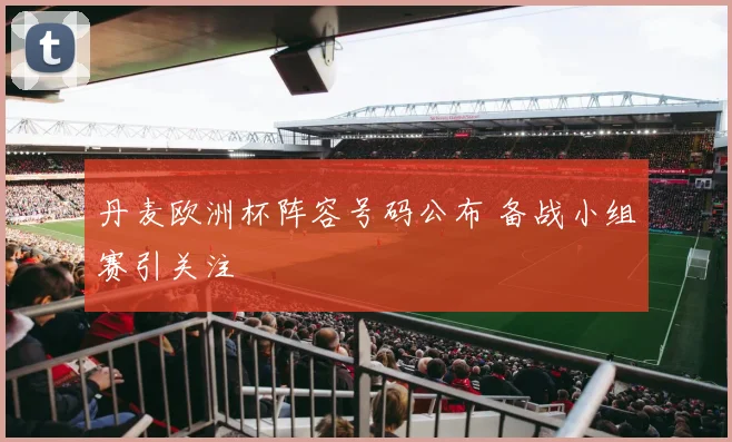 丹麦欧洲杯阵容号码公布 备战小组赛引关注