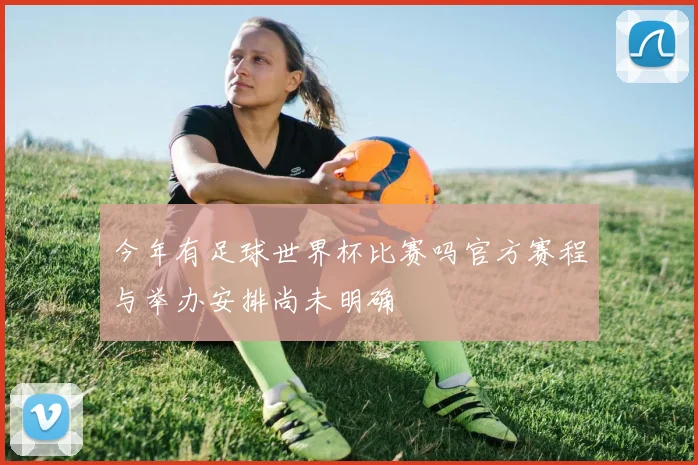 今年有足球世界杯比赛吗官方赛程与举办安排尚未明确