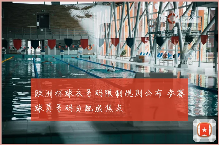 欧洲杯球衣号码限制规则公布 参赛球员号码分配成焦点