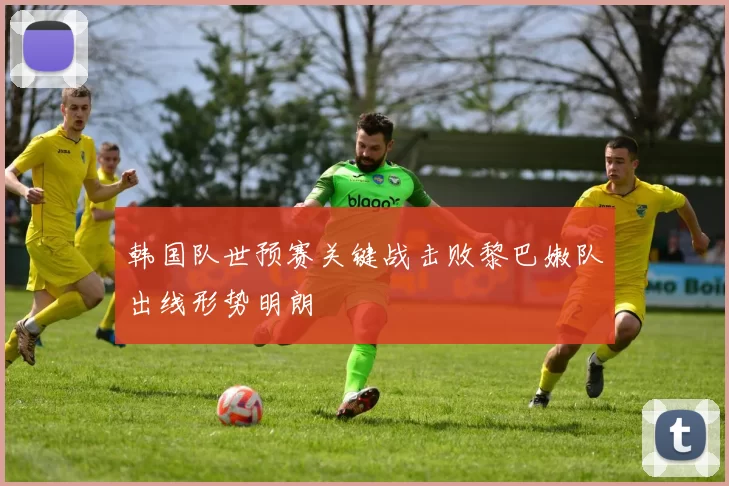 韩国队世预赛关键战击败黎巴嫩队出线形势明朗