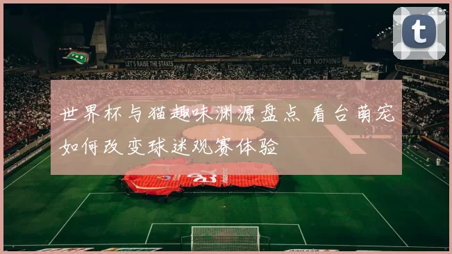 世界杯与猫趣味渊源盘点 看台萌宠如何改变球迷观赛体验