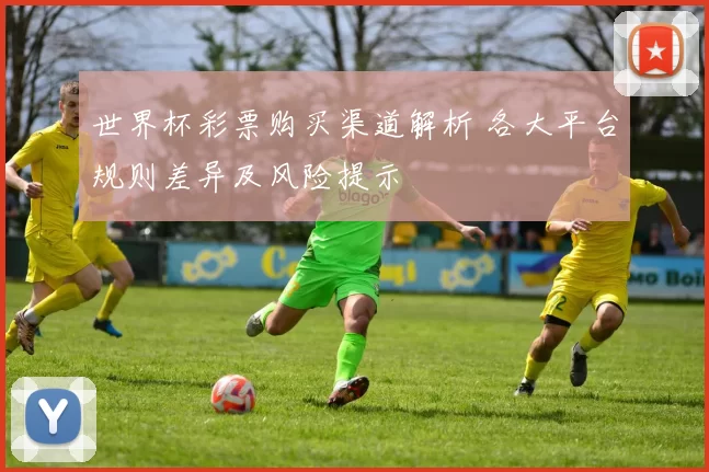 世界杯彩票购买渠道解析 各大平台规则差异及风险提示
