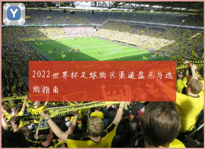 2022世界杯足球购买渠道盘点与选购指南
