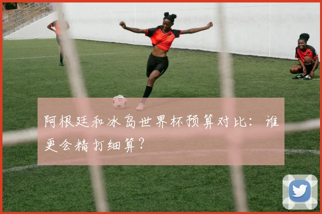 阿根廷和冰岛世界杯预算对比:谁更会精打细算?