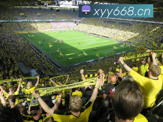 beat365·正版唯一官网 - 最新版网站APP 封面图